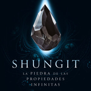Shungit - La Piedra de las Propiedades Infinitas/Pedro Palao Pons